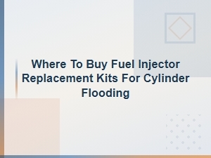 Best Places to Buy Fuel Injector Replacement Kits for Cylinder Flooding Repair
